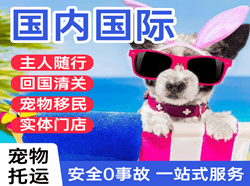 遵义新舟空运国际宠物托运 【国